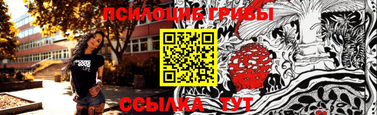 как найти наркотики  Вход с VPN  Черногорск  Галлюциногенные грибы Magic Shrooms 